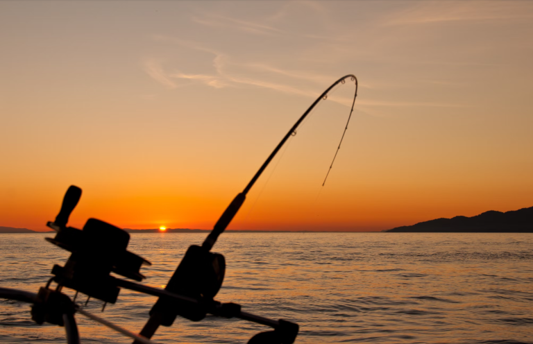 How to Catch Big Bass in Central Florida’s Stick Marsh: A Fisherman’s Guide